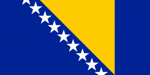 Bosnian flag