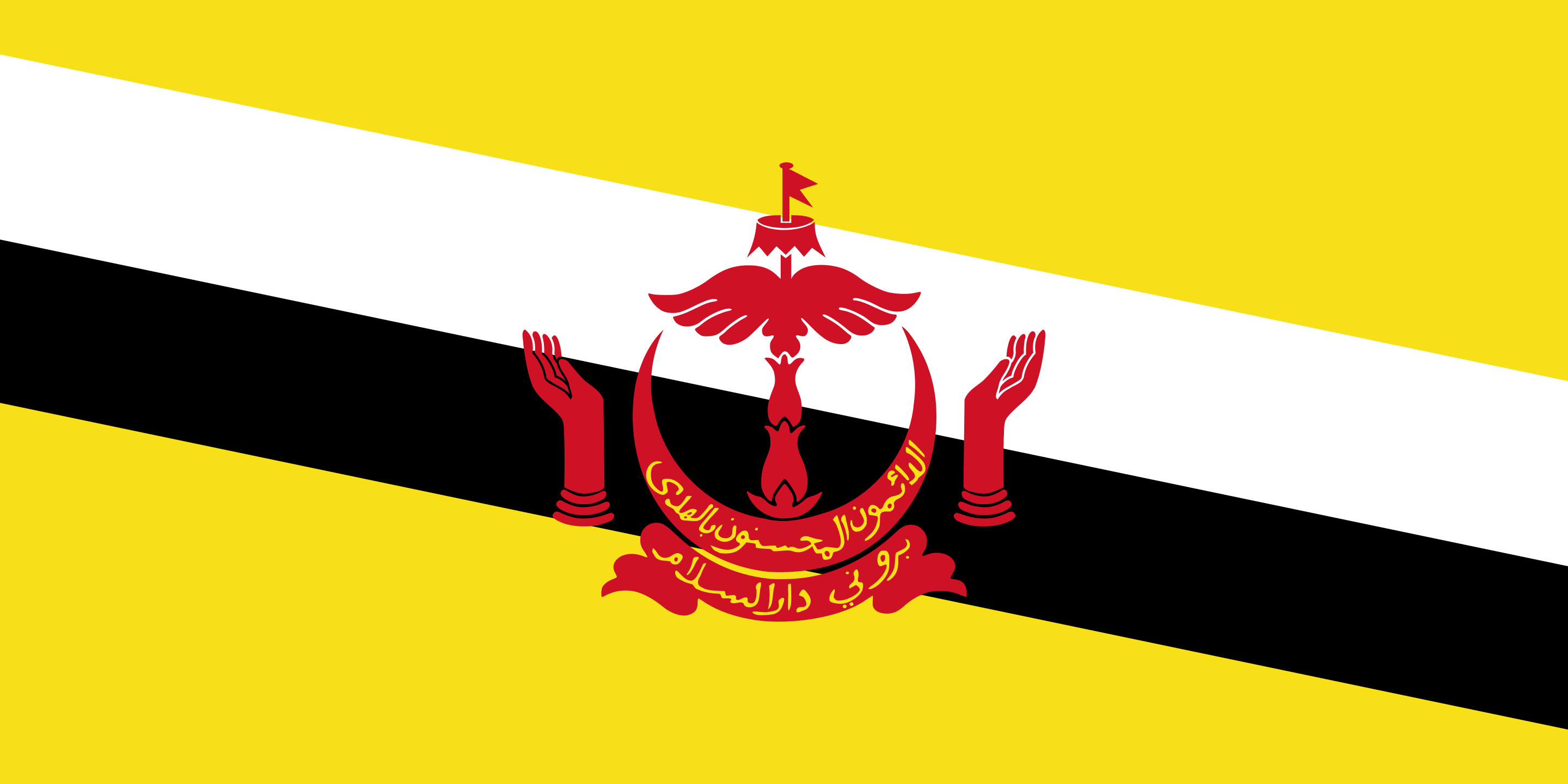 Bruneian flag