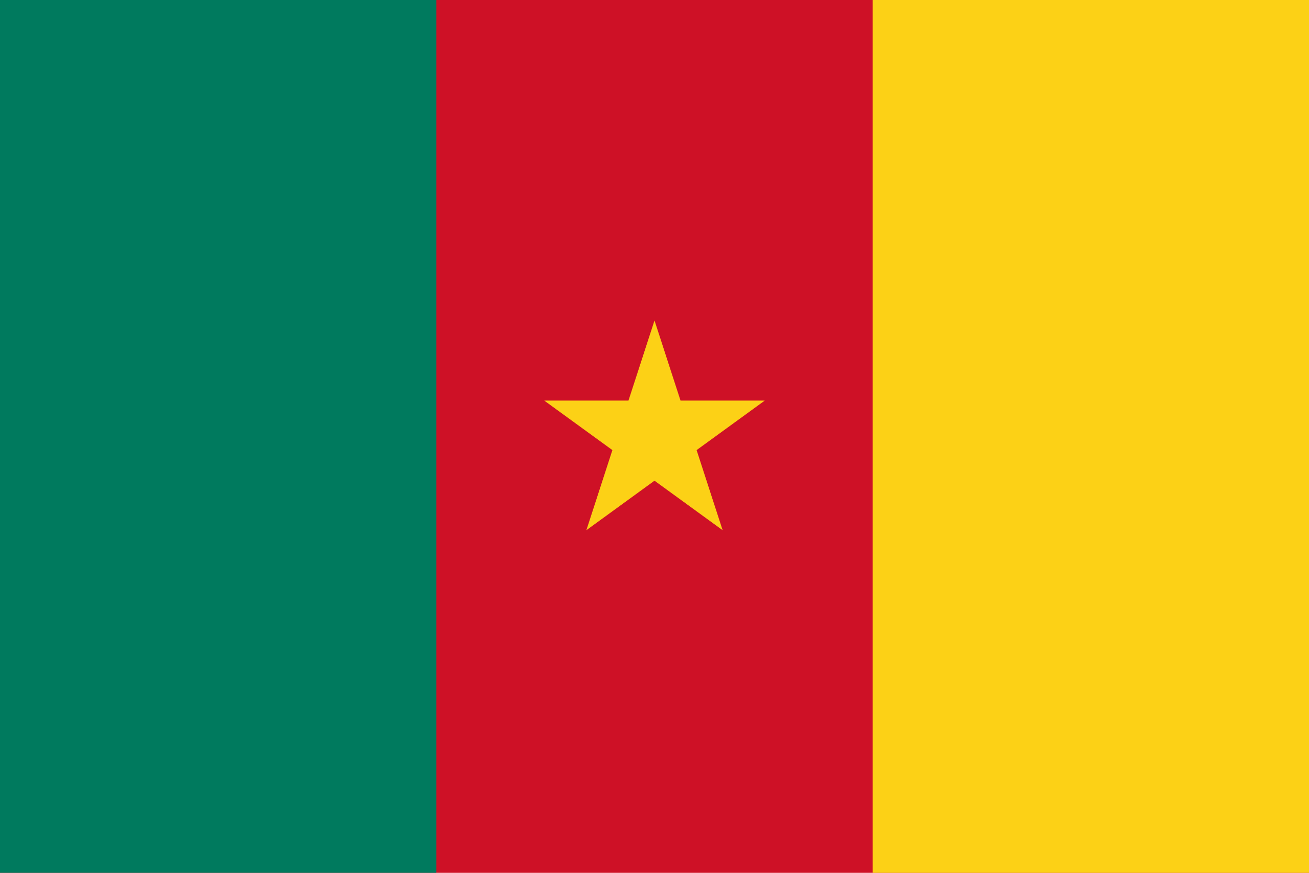 Cameroonian flag