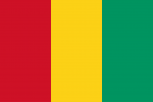 Guinean flag