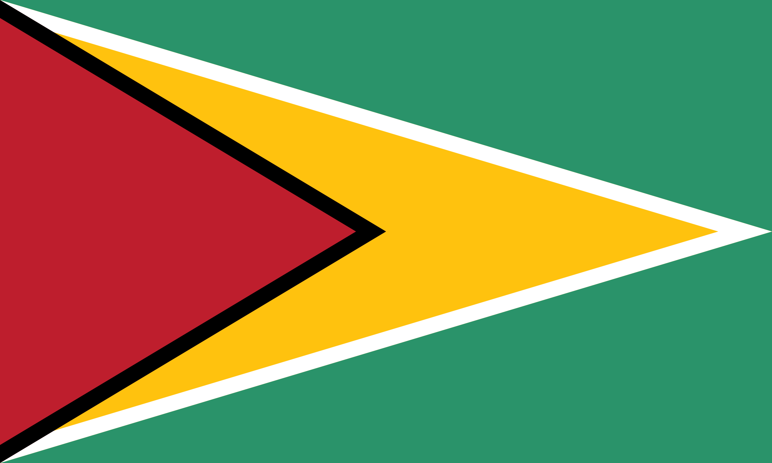 Guyanese flag