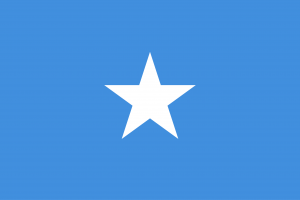 Somali flag
