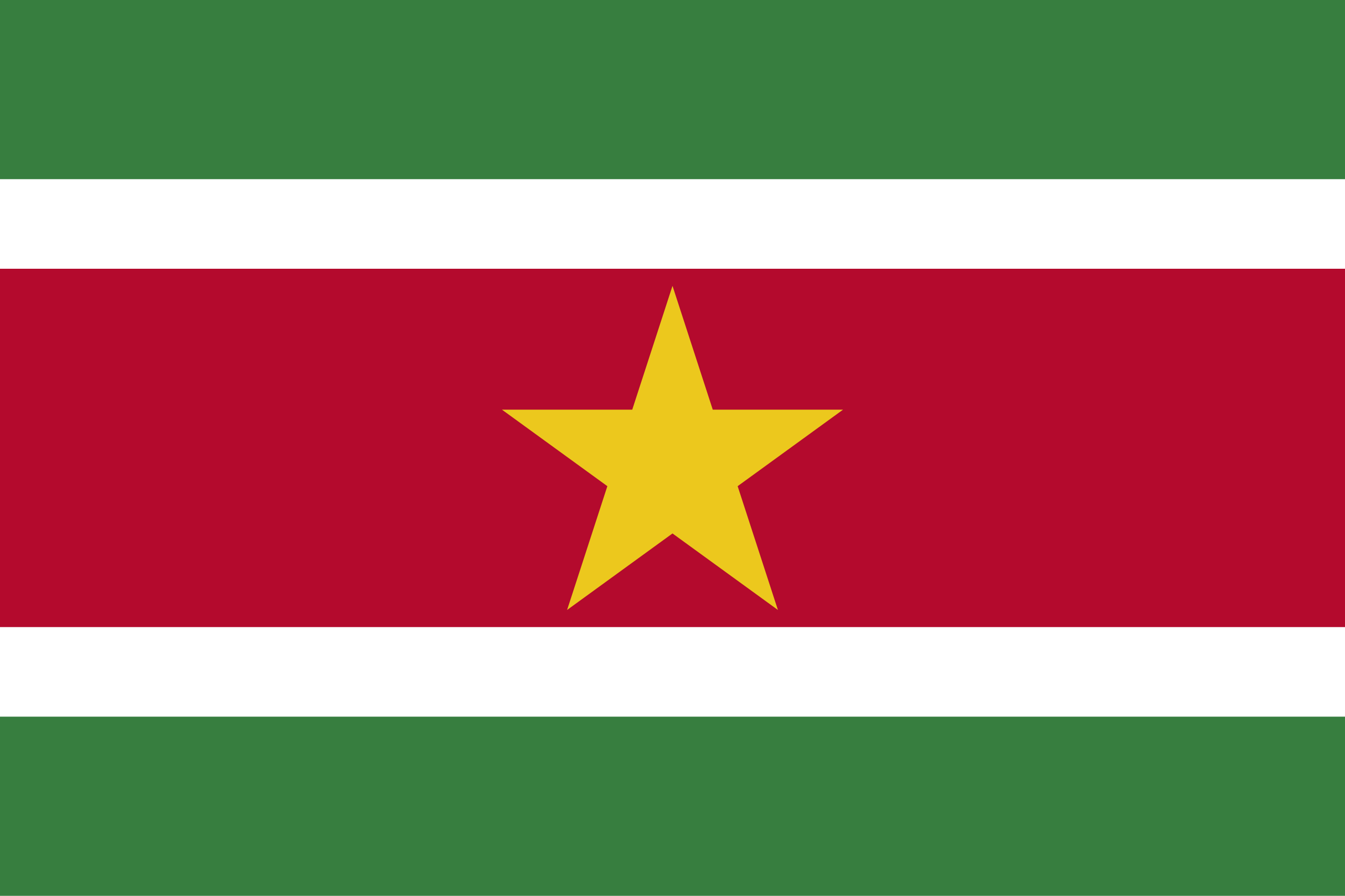 Surinamese flag