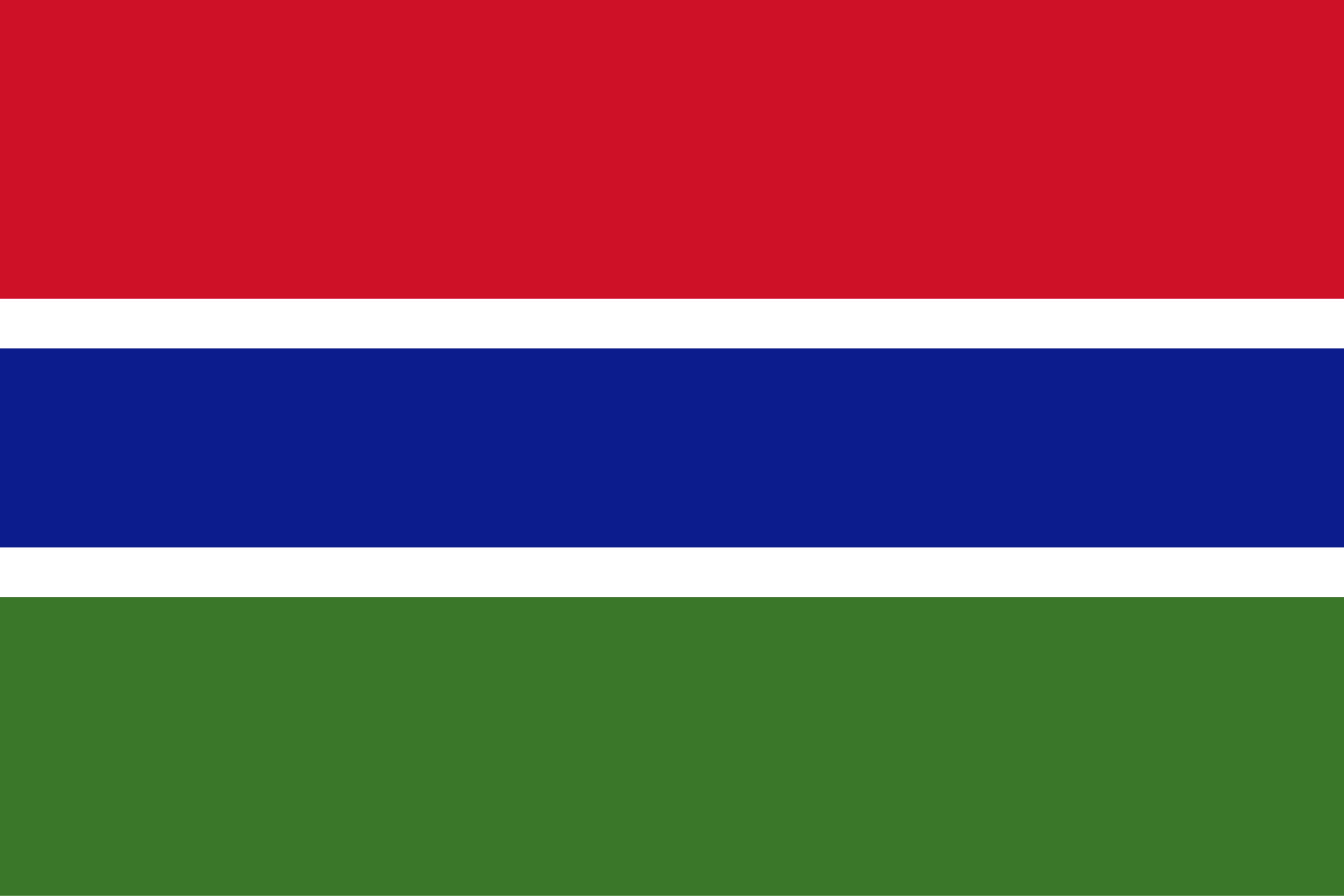 Gambian flag