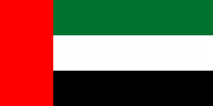 Emirati flag