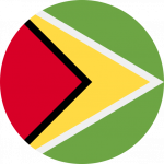 Guyana flag